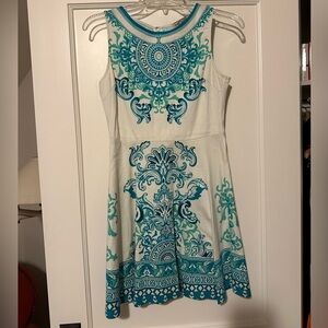 Perfect condition fit and flare dress